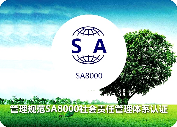 管理规范 SA8000社会责任管理体系认证